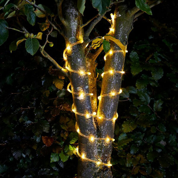 Manguera de luz led en un árbol Fainsa
