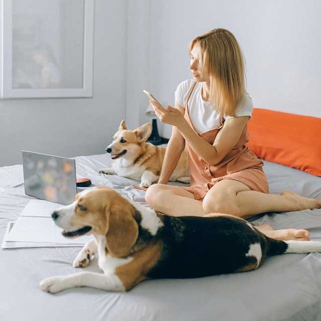 Chica con perros artículos para mascotas