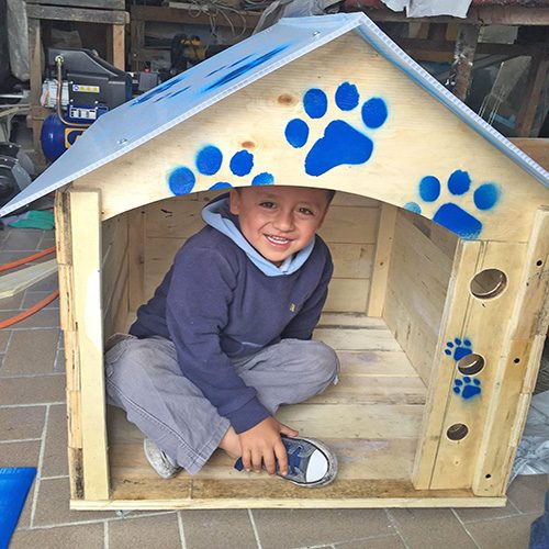 Fabricación de casas para perros Quito